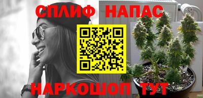 стафф Будённовск